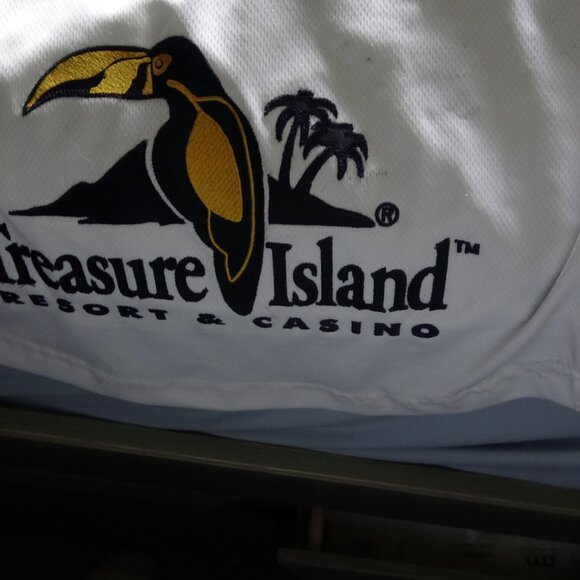 Minnesota Swarm David Earl game worn/signed jersey - Picture 8 of 8